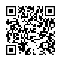 Generador de Códigos QR Codes